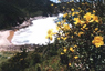Jos� Gon�alves